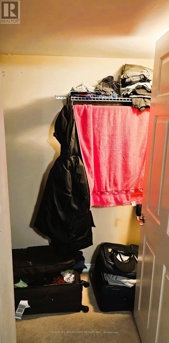 Bsmt - 3507 Monica Drive, Mississauga, Ontario  L4T 2E4 - Photo 14 - W12592976