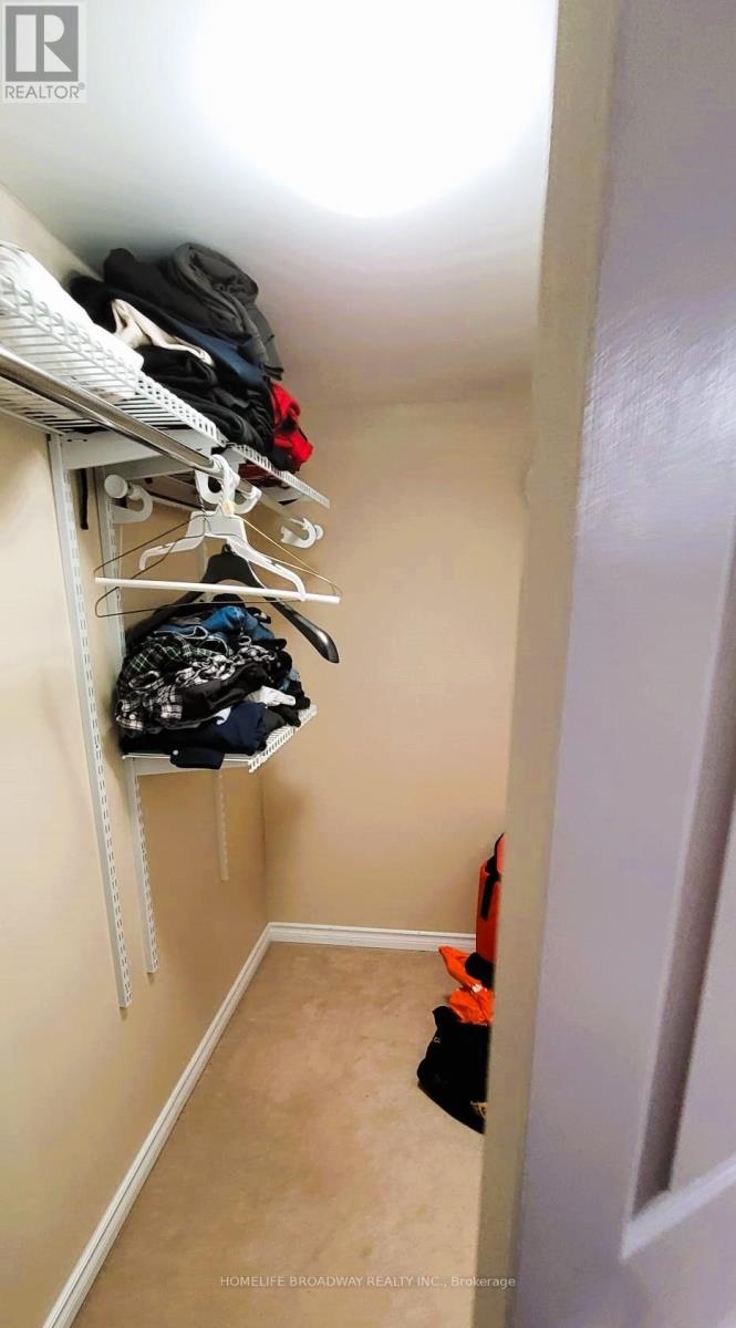 Bsmt - 3507 Monica Drive, Mississauga, Ontario  L4T 2E4 - Photo 15 - W12592976