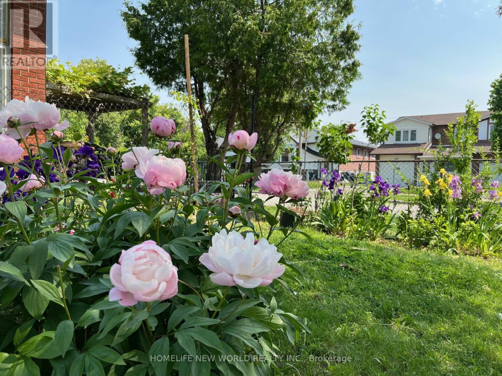 86 Tuscarora Drive, Toronto (Pleasant View), Ontario  M2H 2K3 - Photo 3 - C12479665