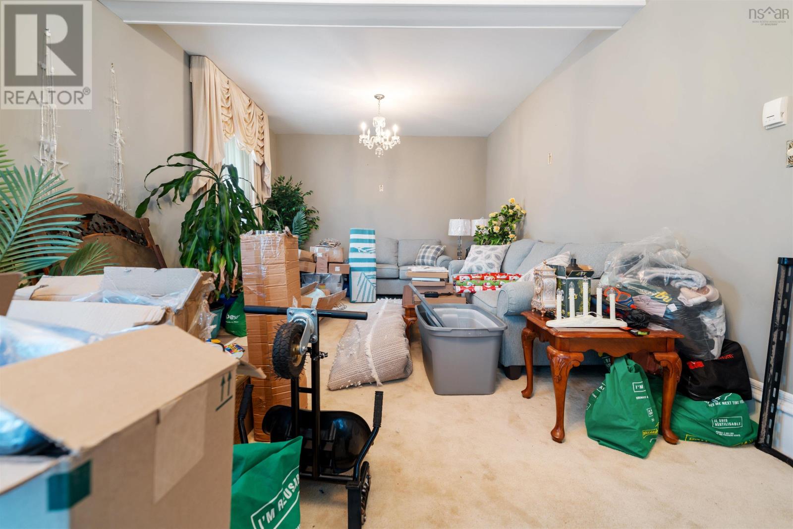 8 Dufferin Mines Road, Port Dufferin, Nova Scotia  B0J 2R0 - Photo 18 - 202528584