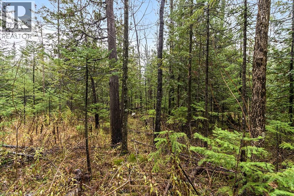 Pt Lt 11 Concession 11, West Grey, Ontario  N0C 1H0 - Photo 14 - 40786910