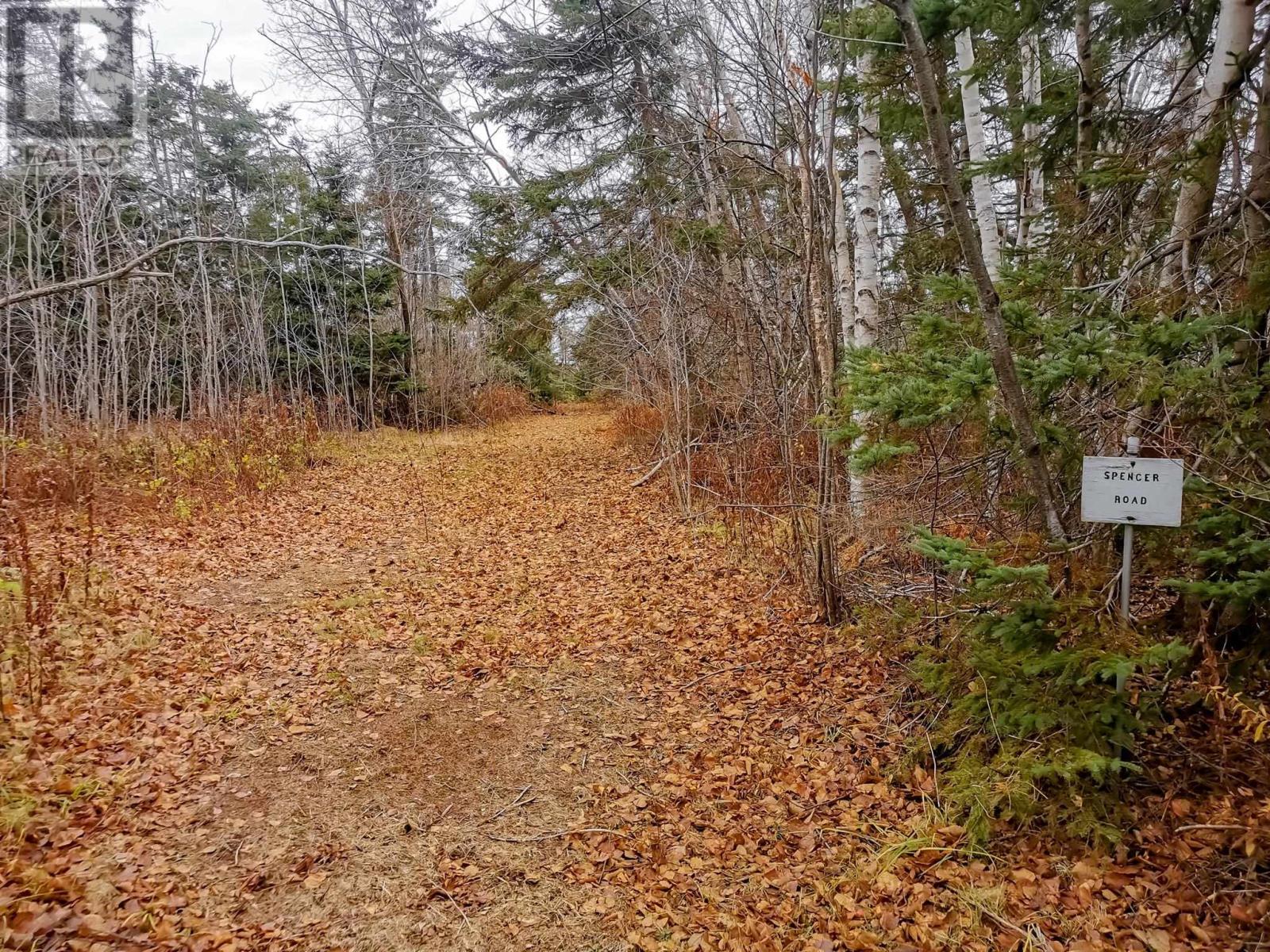 1067 Cape Bear Road, Murray Harbour, Prince Edward Island  C0A 1V0 - Photo 9 - 202528883
