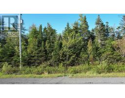 Birch Grove Road-30;, Port Morien, Ca