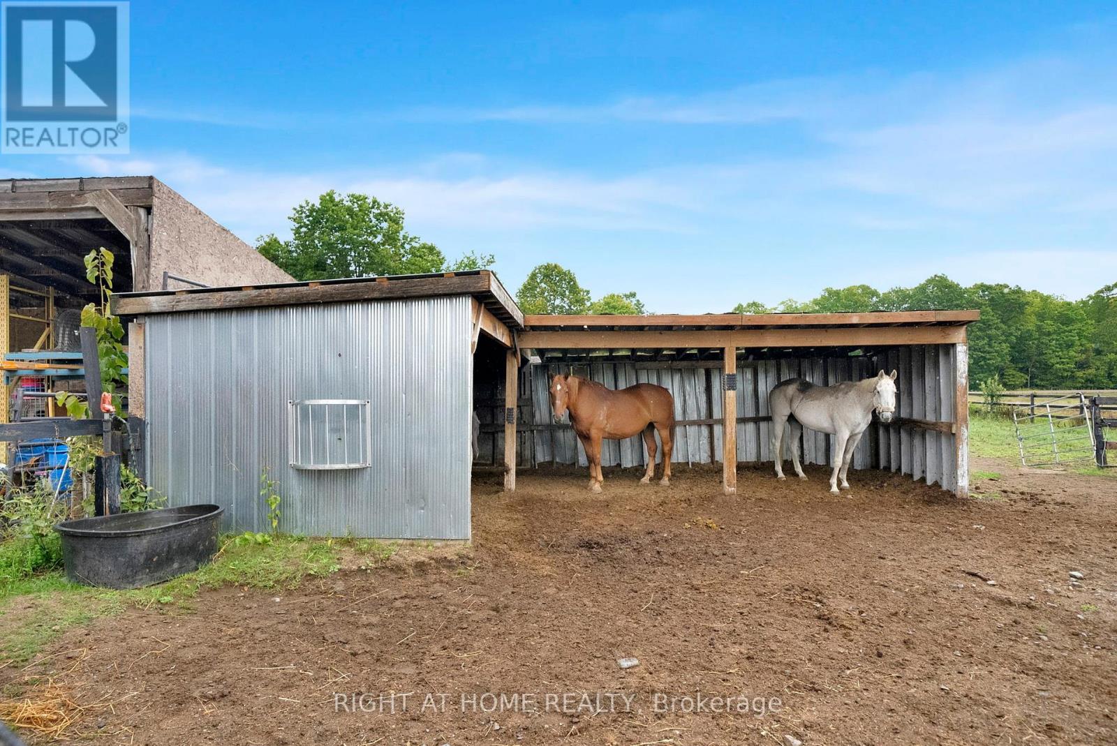 6265 Regional Road 18 Road, Clarington, Ontario  L0A 1J0 - Photo 39 - E12593220