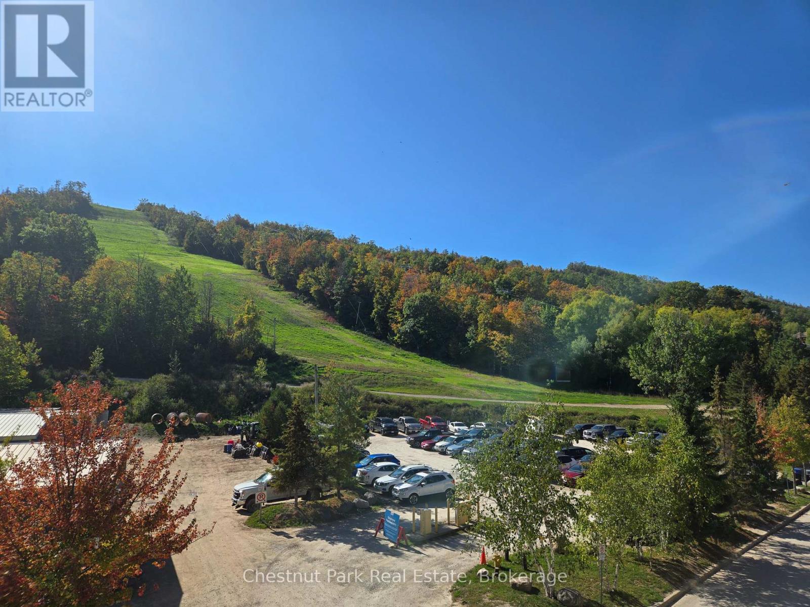 307 - 220 Gord Canning Drive, Blue Mountains, Ontario  L9Y 0V2 - Photo 31 - X12593216