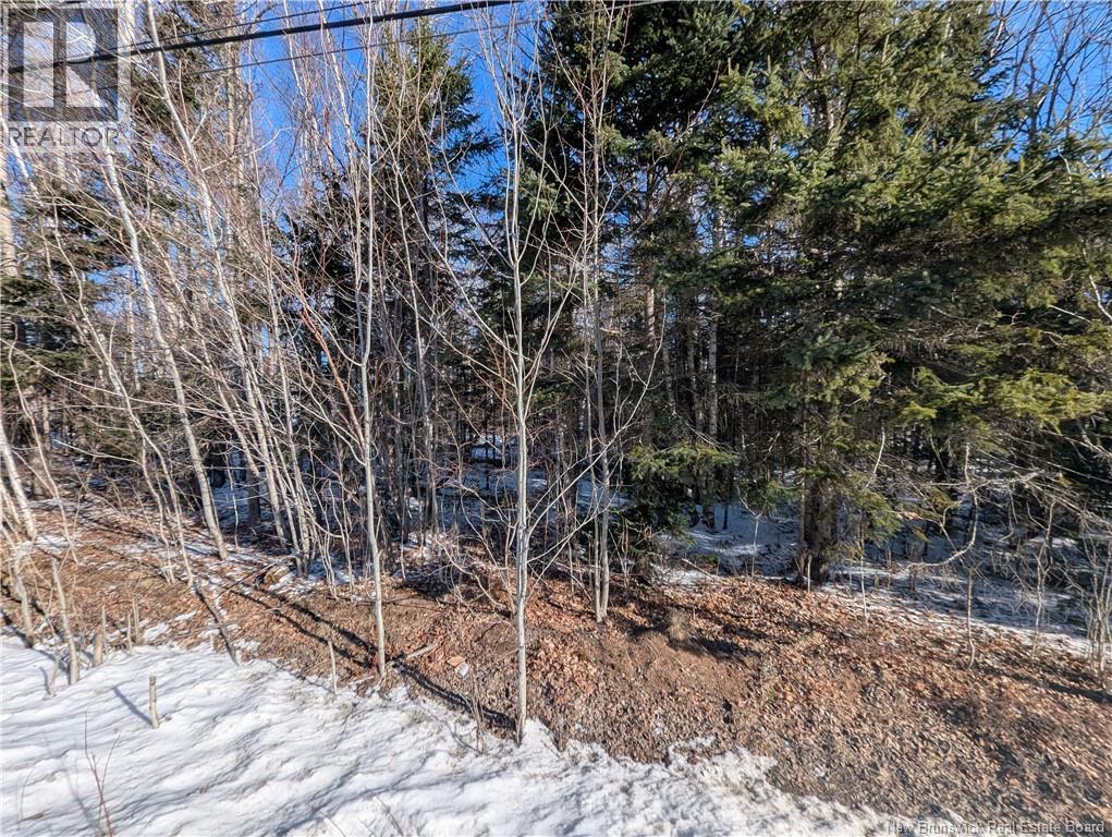 121 Youghall Drive, Bathurst, New Brunswick E2A 4X5 - Photo 2 - NB130862