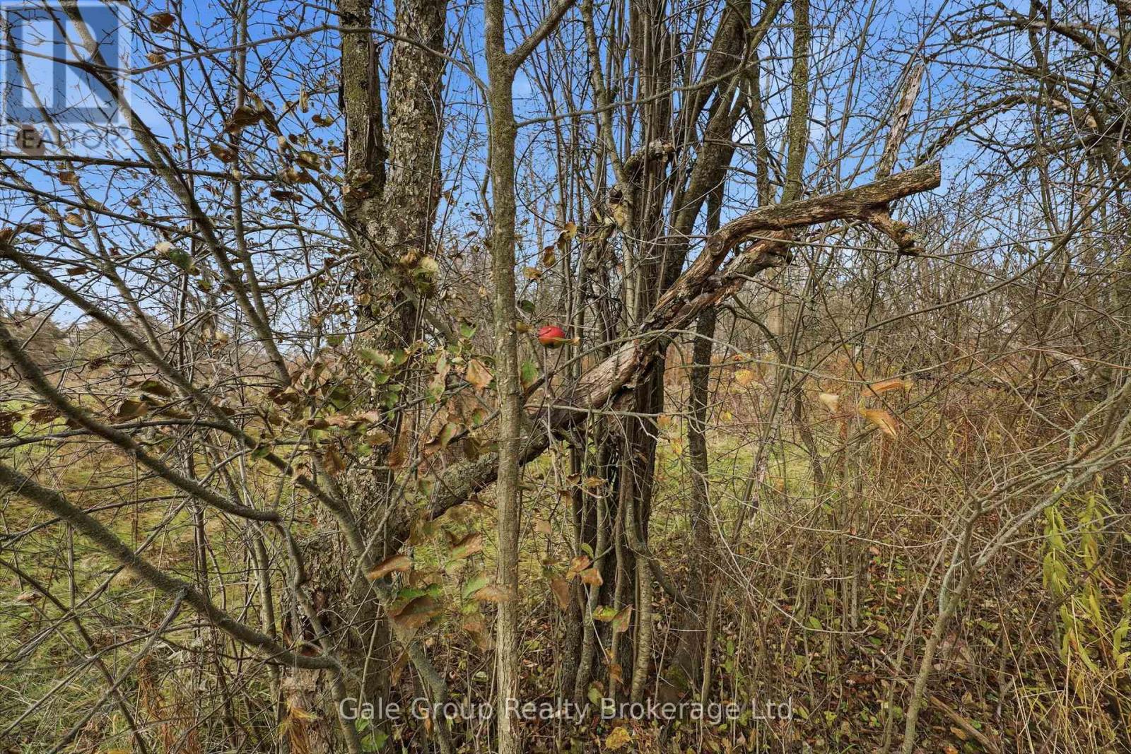 1349 Queen Street, Wilmot, Ontario  N0B 2E0 - Photo 49 - X12593536