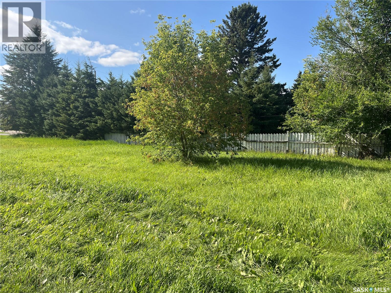 303 Allan Avenue, Saltcoats, Saskatchewan  S0A 3R0 - Photo 10 - SK025055