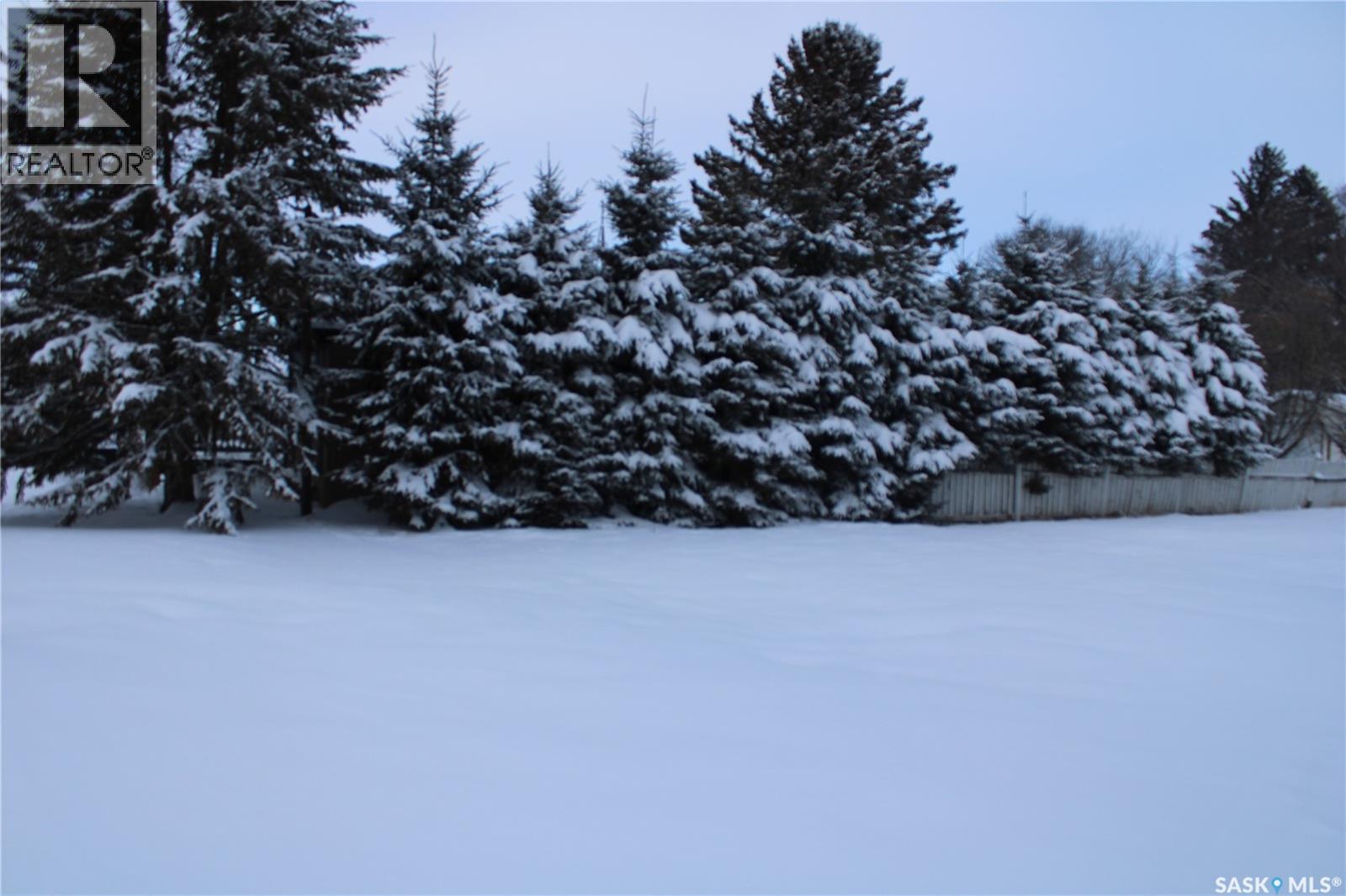 303 Allan Avenue, Saltcoats, Saskatchewan  S0A 3R0 - Photo 4 - SK025055