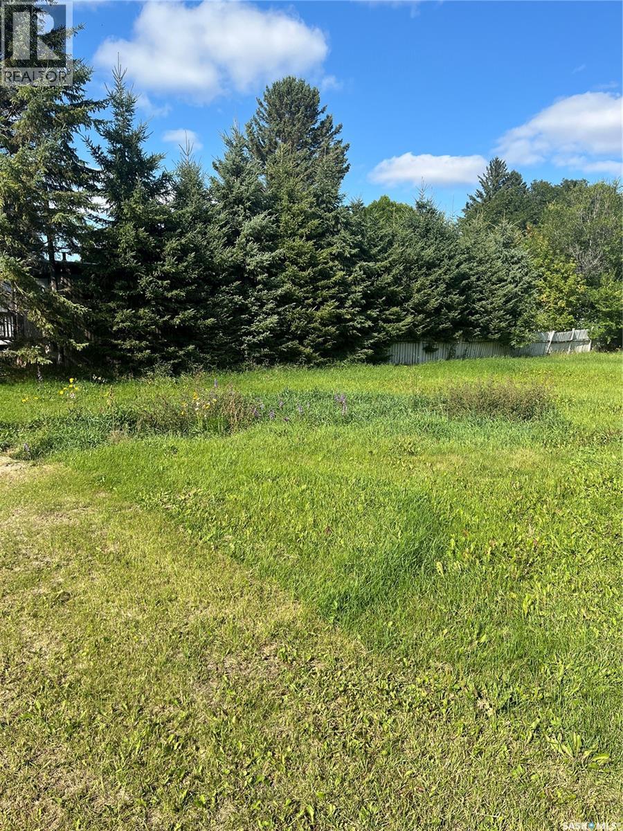 303 Allan Avenue, Saltcoats, Saskatchewan  S0A 3R0 - Photo 5 - SK025055