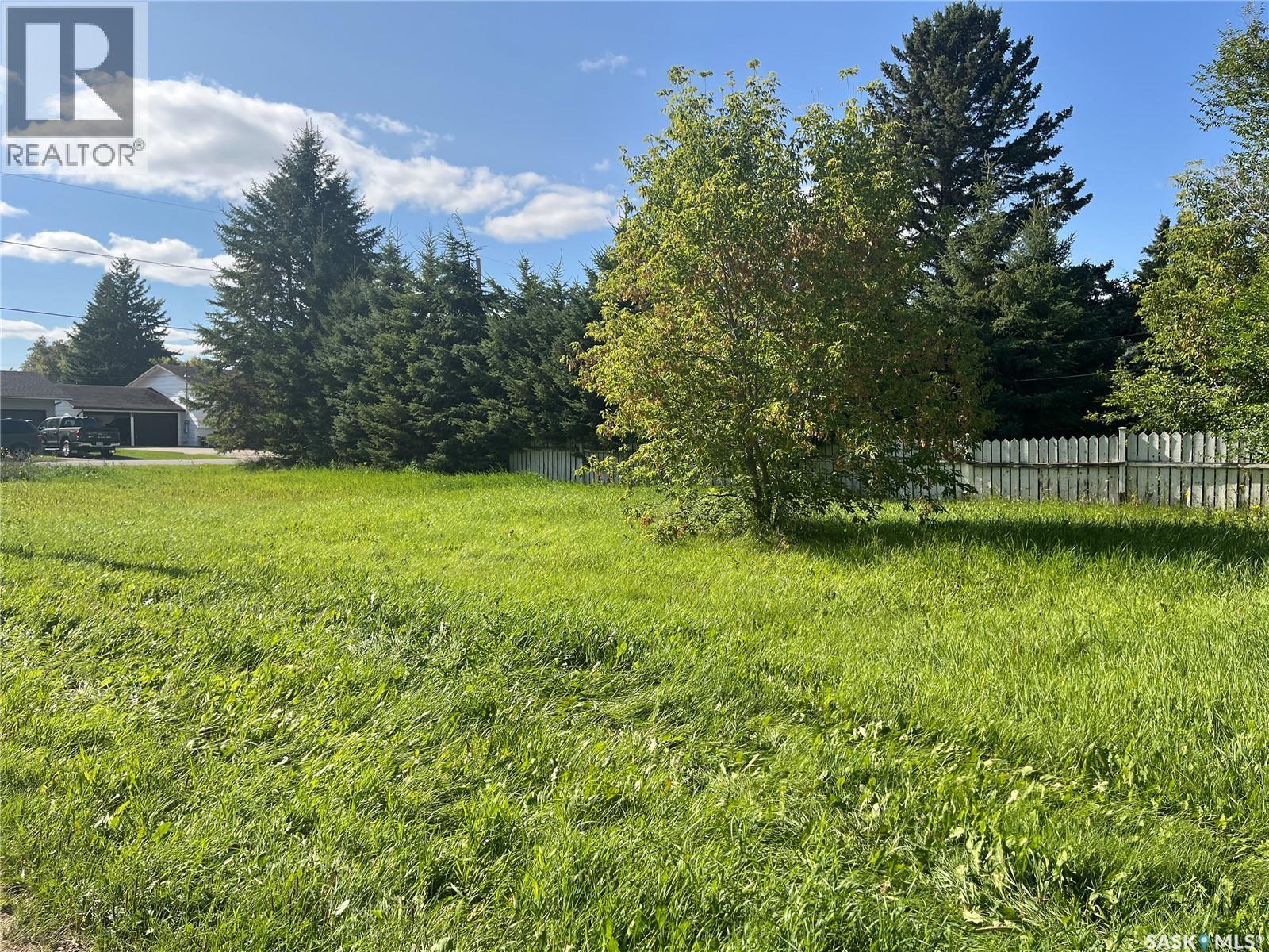 303 Allan Avenue, Saltcoats, Saskatchewan  S0A 3R0 - Photo 9 - SK025055