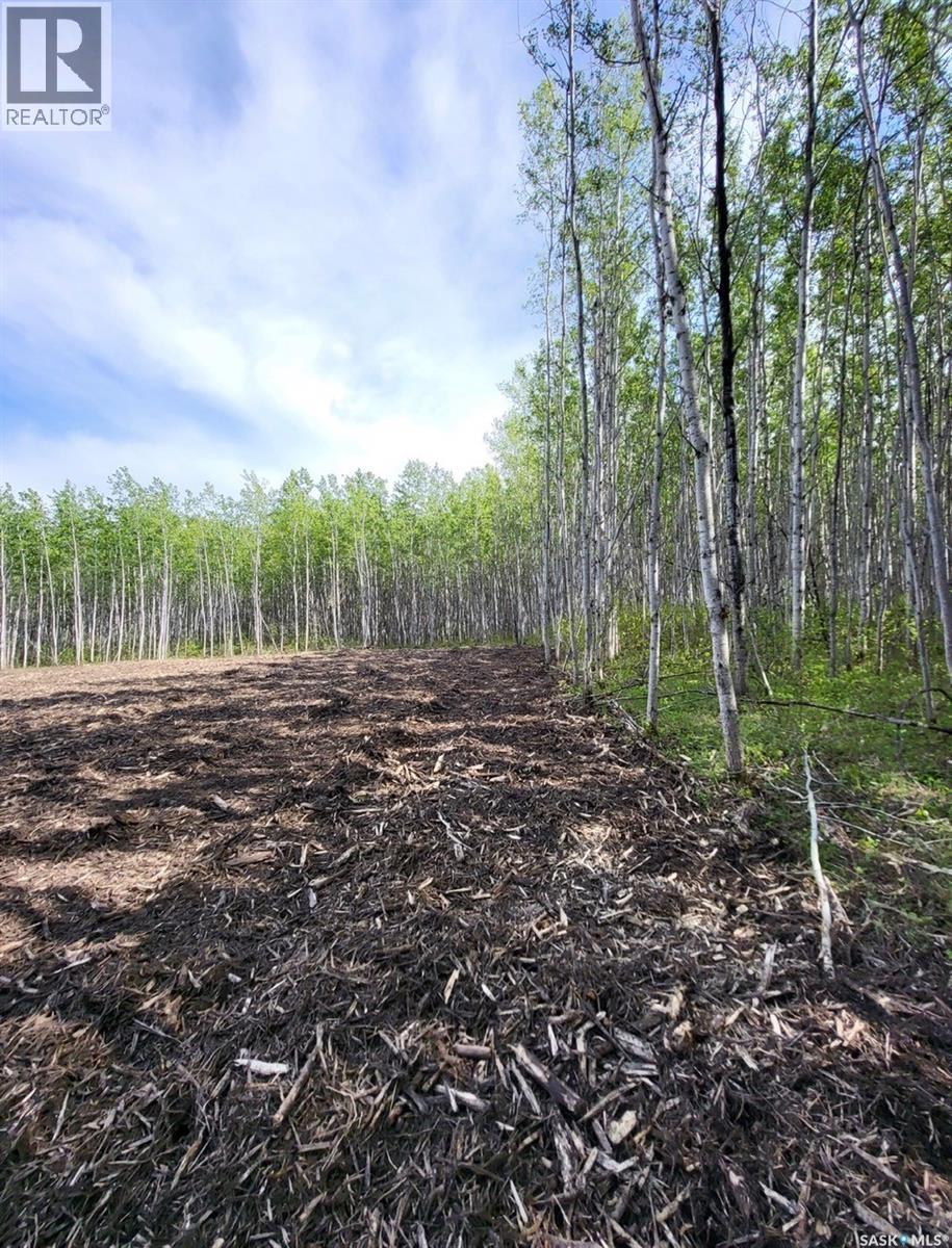 Lot 8 Poplar Grove Estates, Meadow Lake, Saskatchewan  S9X 1Y7 - Photo 2 - SK025010