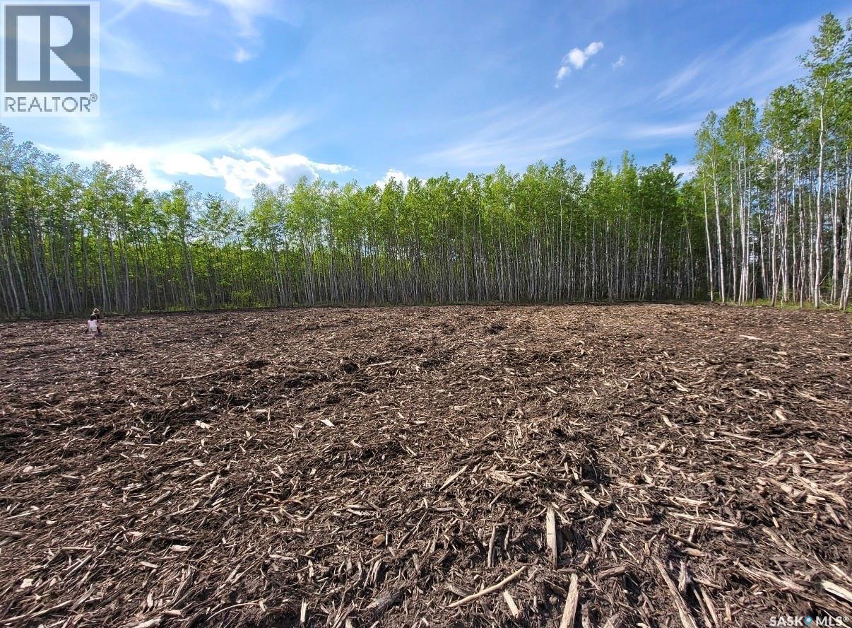 Lot 8 Poplar Grove Estates, Meadow Lake, Saskatchewan  S9X 1Y7 - Photo 3 - SK025010
