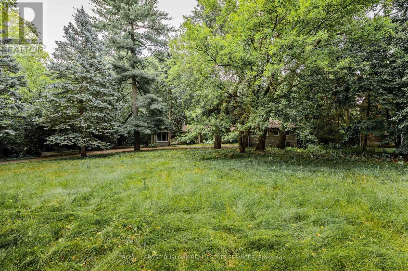 3 Edgehill Road, Toronto, Ontario  M9A 4N1 - Photo 8 - W12593458