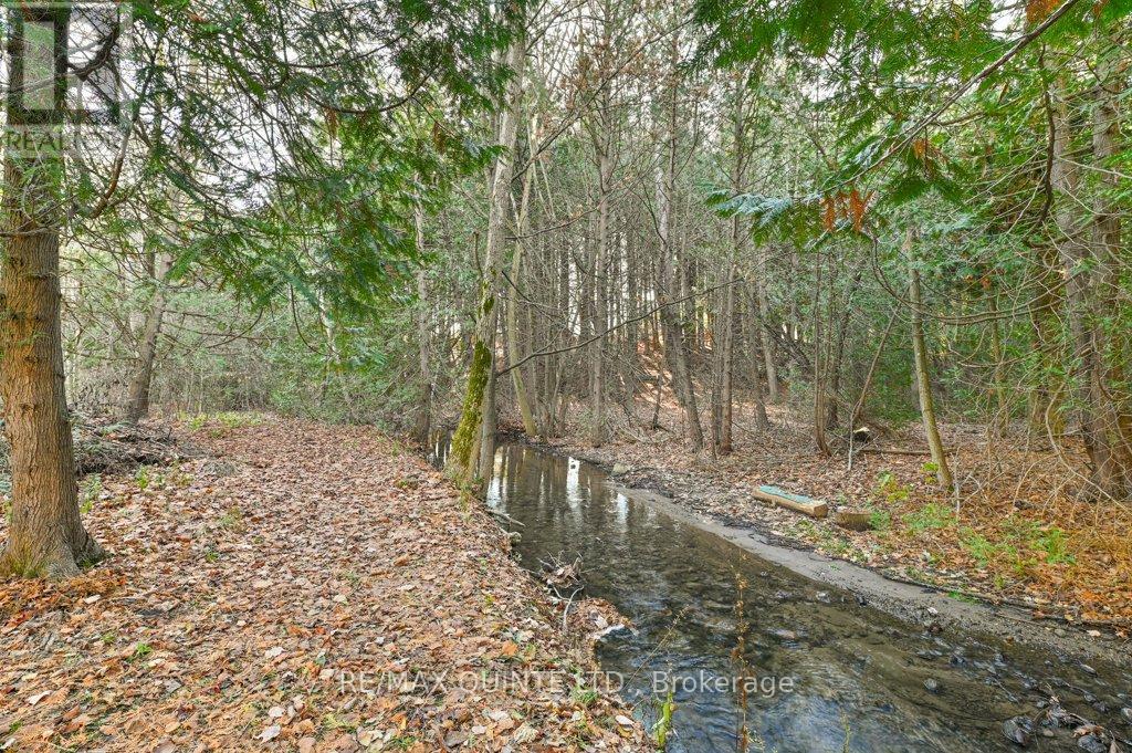 16845 Telephone Road, Quinte West, Ontario  K8V 5P4 - Photo 36 - X12593592