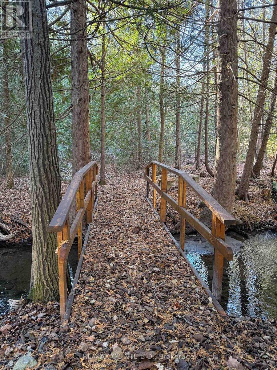 16845 Telephone Road, Quinte West, Ontario  K8V 5P4 - Photo 37 - X12593592