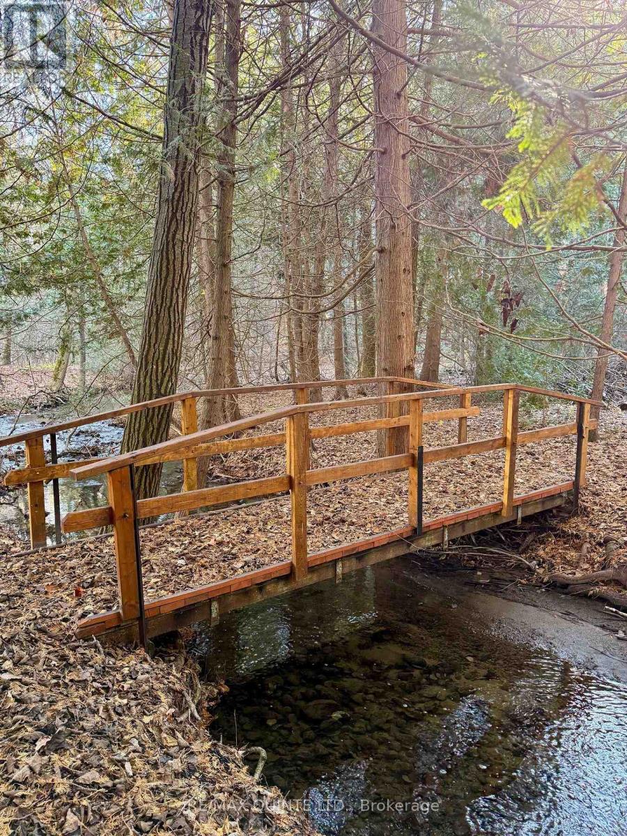 16845 Telephone Road, Quinte West, Ontario  K8V 5P4 - Photo 38 - X12593592