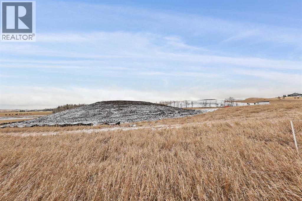 Lot 4,  Nw; 20; 22; 2; 5, Rural Foothills County, Alberta  T1S 2P6 - Photo 20 - A2258306