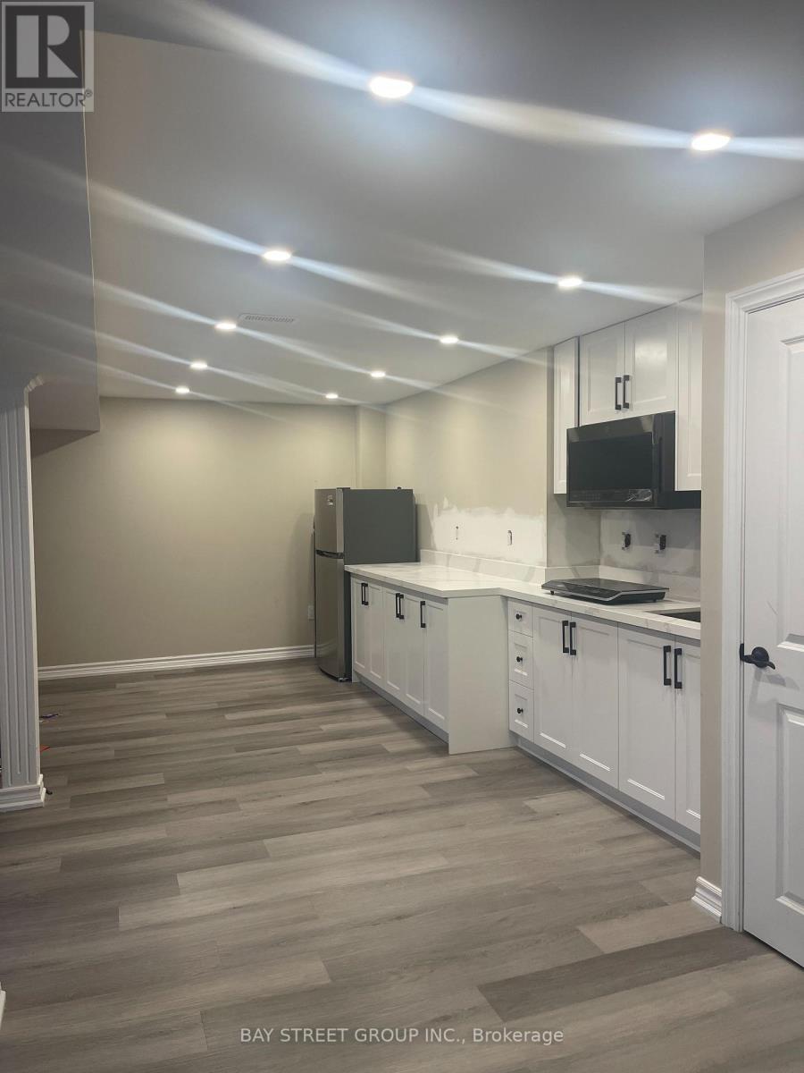 Basement - 43 Philips View Crescent, Richmond Hill, Ontario  L4E 0S9 - Photo 5 - N12593646