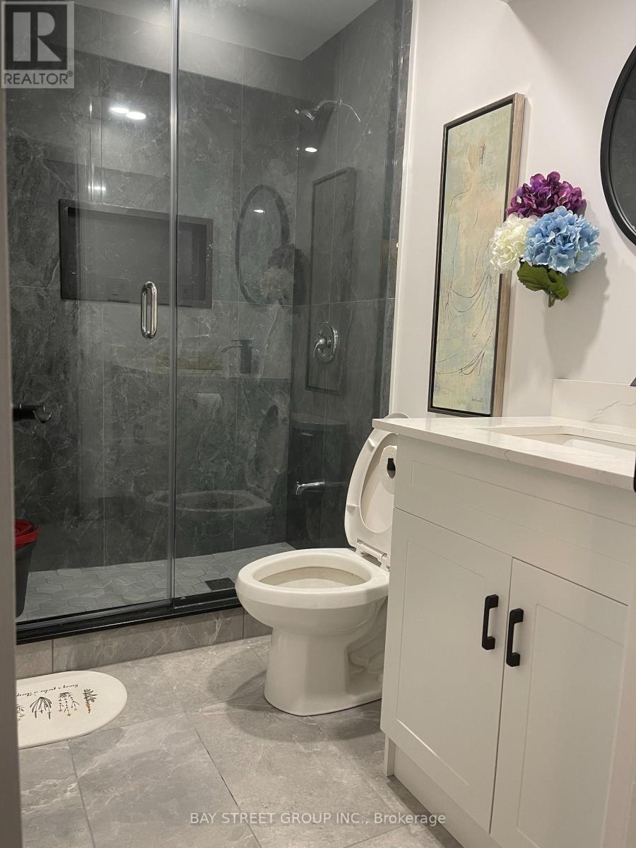 Basement - 43 Philips View Crescent, Richmond Hill, Ontario  L4E 0S9 - Photo 8 - N12593646