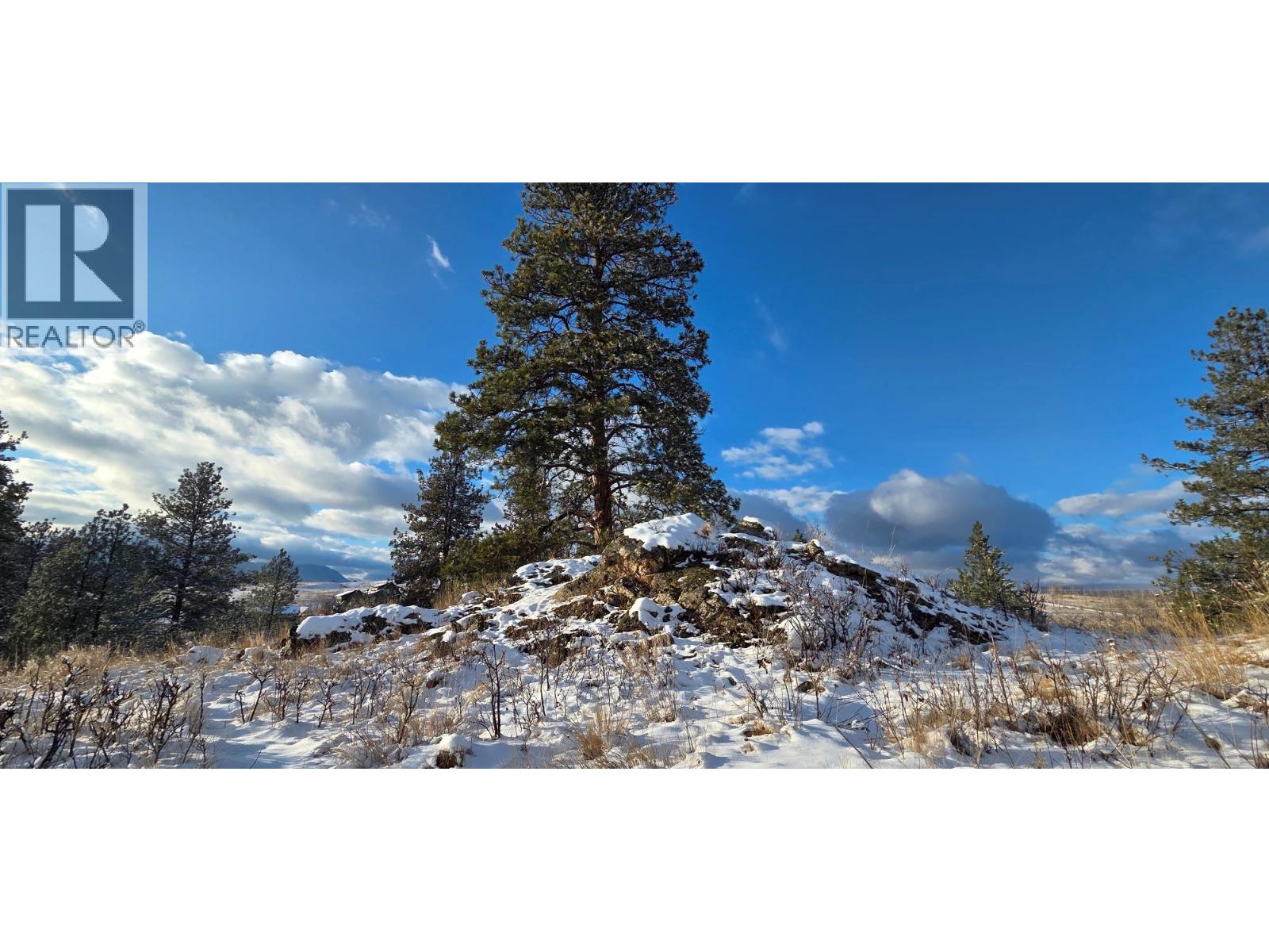 3093 Mission Wycliffe Road, Wycliffe, British Columbia  V1C 7C8 - Photo 9 - 10364823