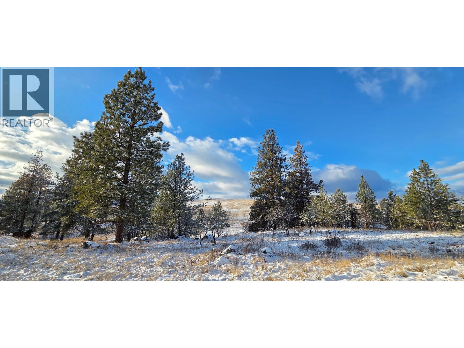 3093 Mission Wycliffe Road, Wycliffe, British Columbia  V1C 7C8 - Photo 10 - 10364823