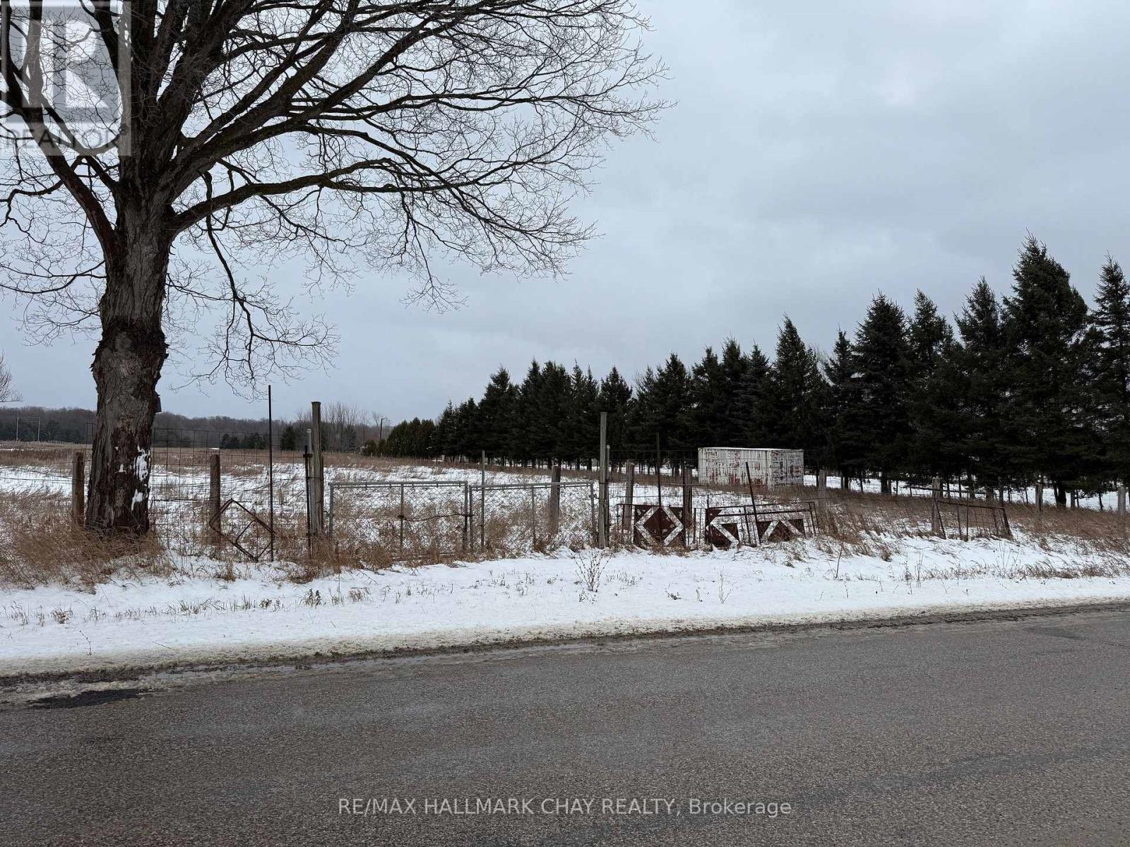 3005 Concession Rd 4, Adjala-Tosorontio, Ontario  L0G 1L0 - Photo 3 - N12593052