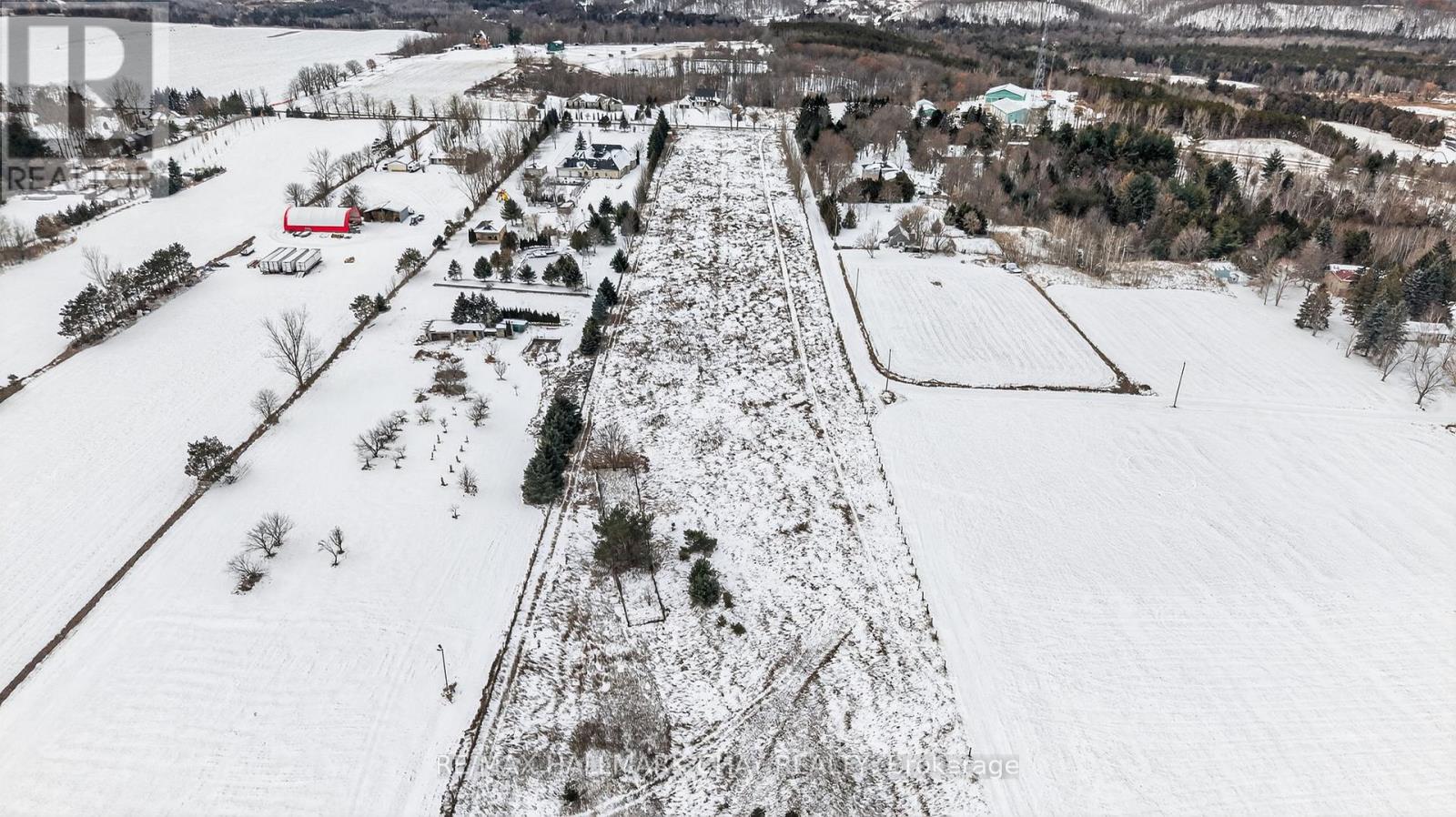 3005 Concession Rd 4, Adjala-Tosorontio, Ontario  L0G 1L0 - Photo 12 - N12593052