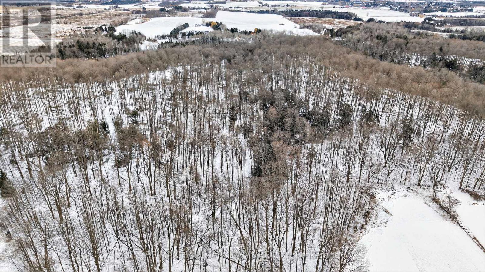 3005 Concession Rd 4, Adjala-Tosorontio, Ontario  L0G 1L0 - Photo 13 - N12593052