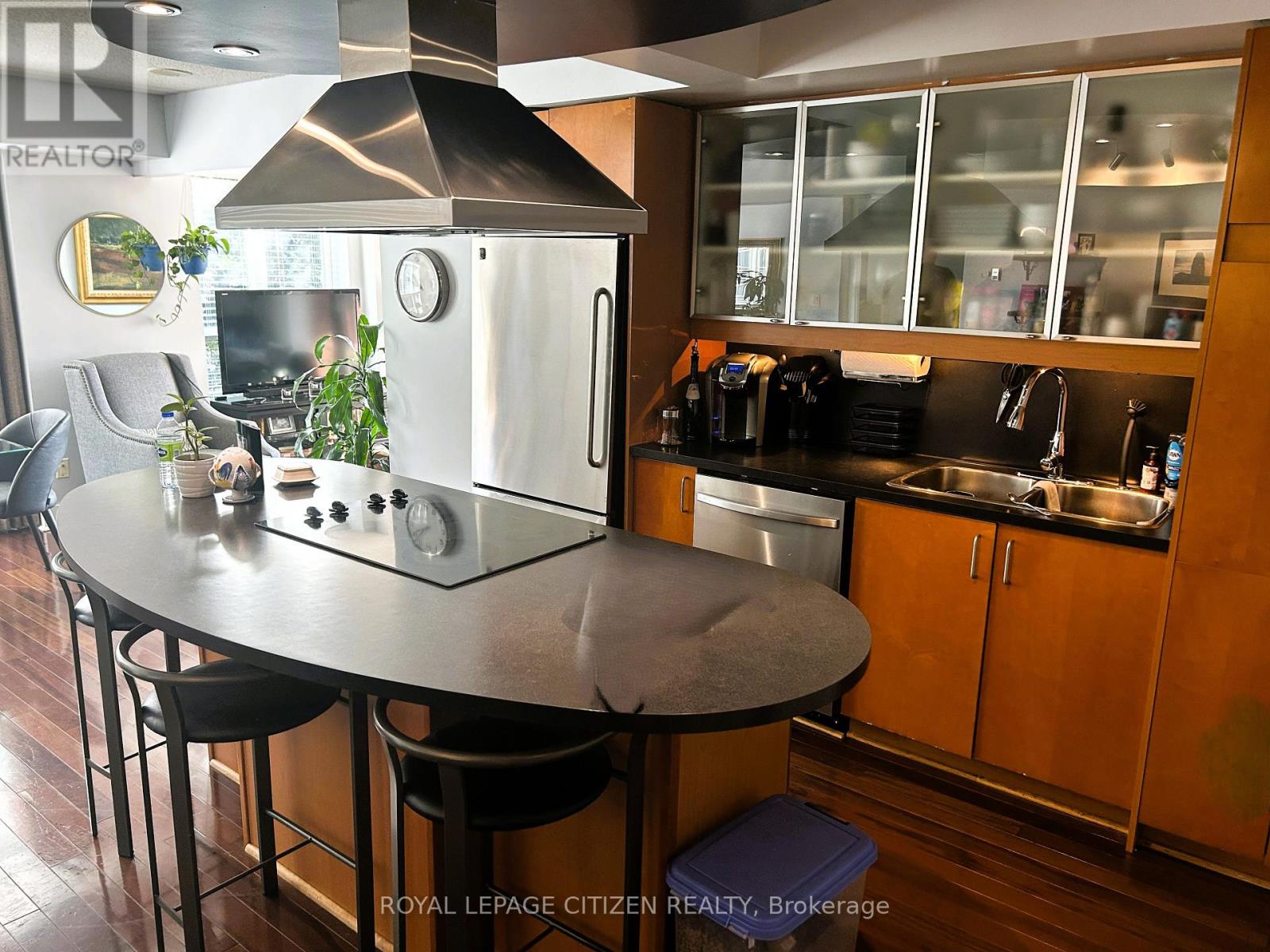 427 - 550 Queens Quay, Toronto, Ontario  M5V 3M8 - Photo 12 - C12593716