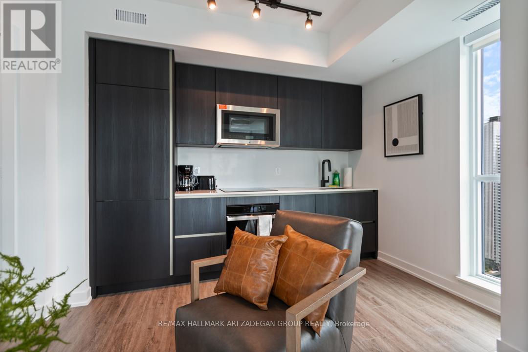 4402 - 327 King Street W, Toronto (Waterfront Communities), Ontario  M5V 0W7 - Photo 21 - C12593908