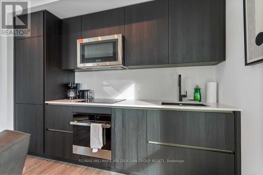 4402 - 327 King Street W, Toronto (Waterfront Communities), Ontario  M5V 0W7 - Photo 22 - C12593908