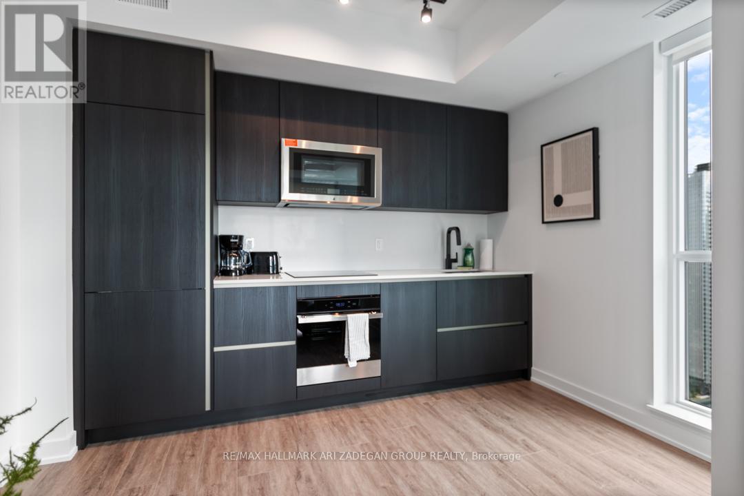 4402 - 327 King Street W, Toronto (Waterfront Communities), Ontario  M5V 0W7 - Photo 23 - C12593908