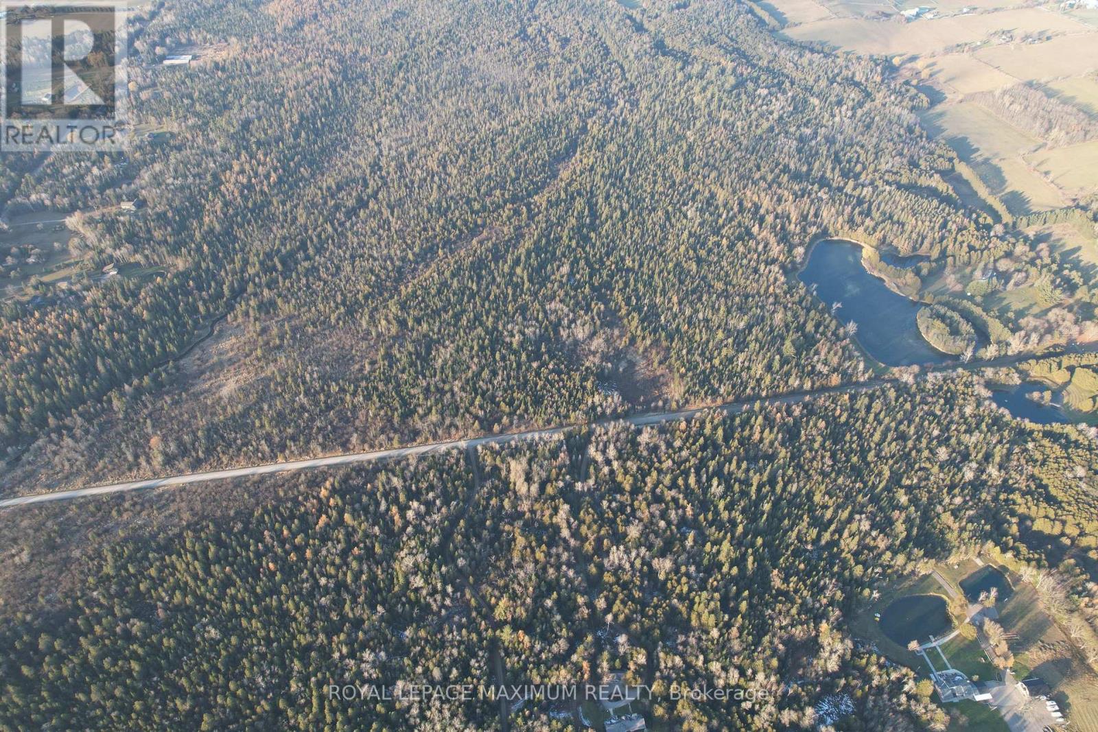 10189 Concession 3 Road, Uxbridge, Ontario  L0E 1T0 - Photo 3 - N12593834