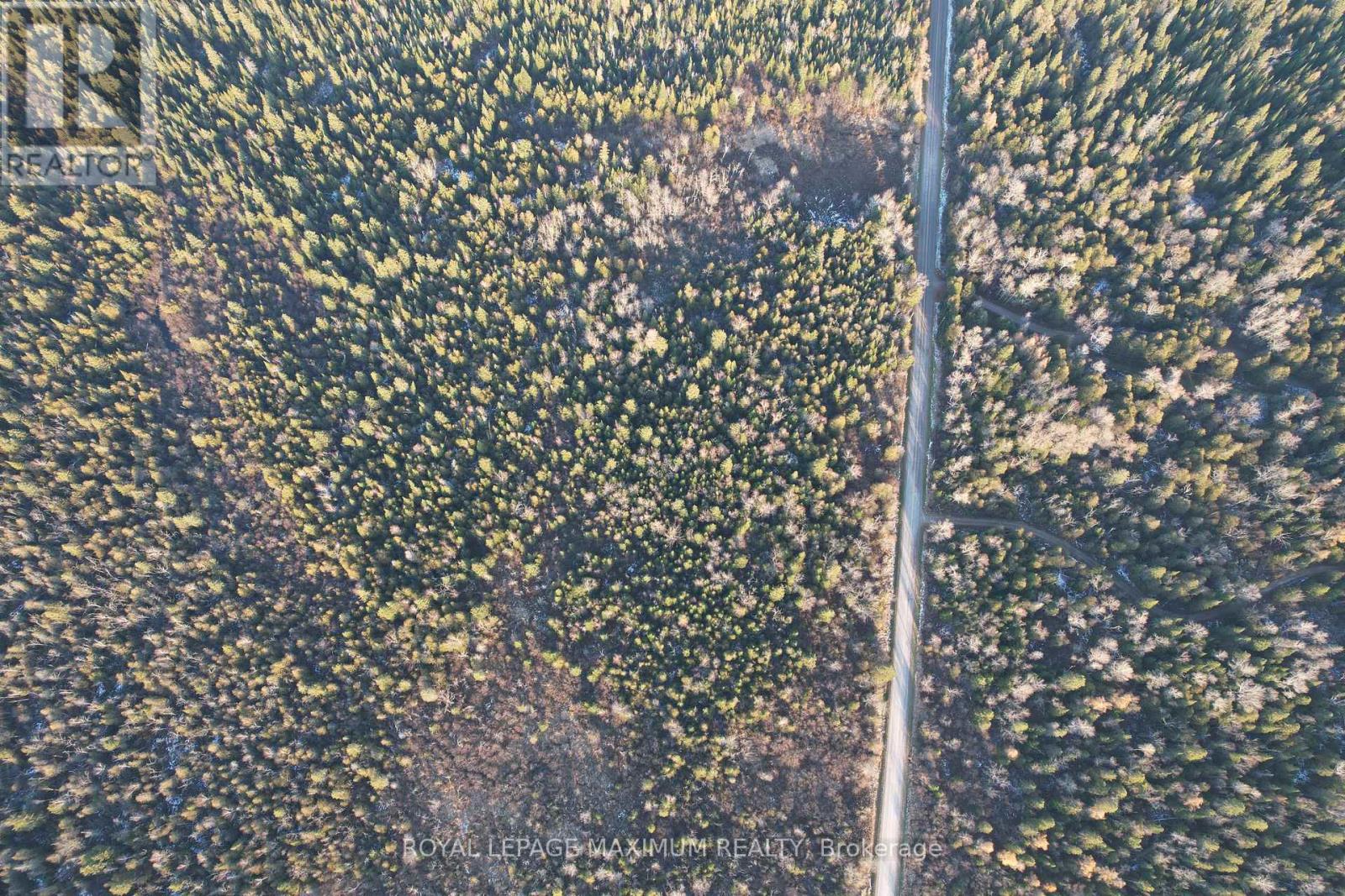 10189 Concession 3 Road, Uxbridge, Ontario  L0E 1T0 - Photo 6 - N12593834