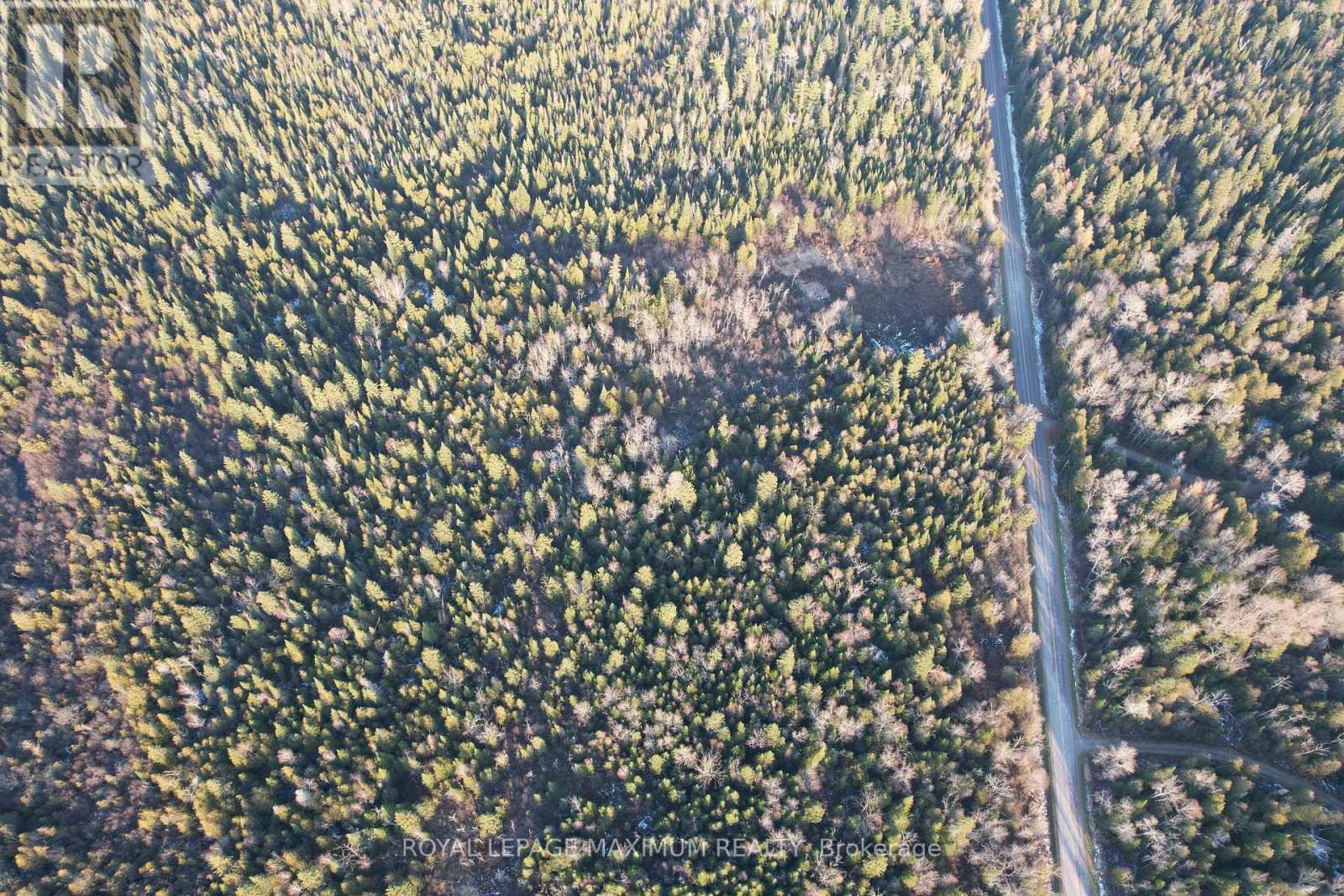 10189 Concession 3 Road, Uxbridge, Ontario  L0E 1T0 - Photo 8 - N12593834