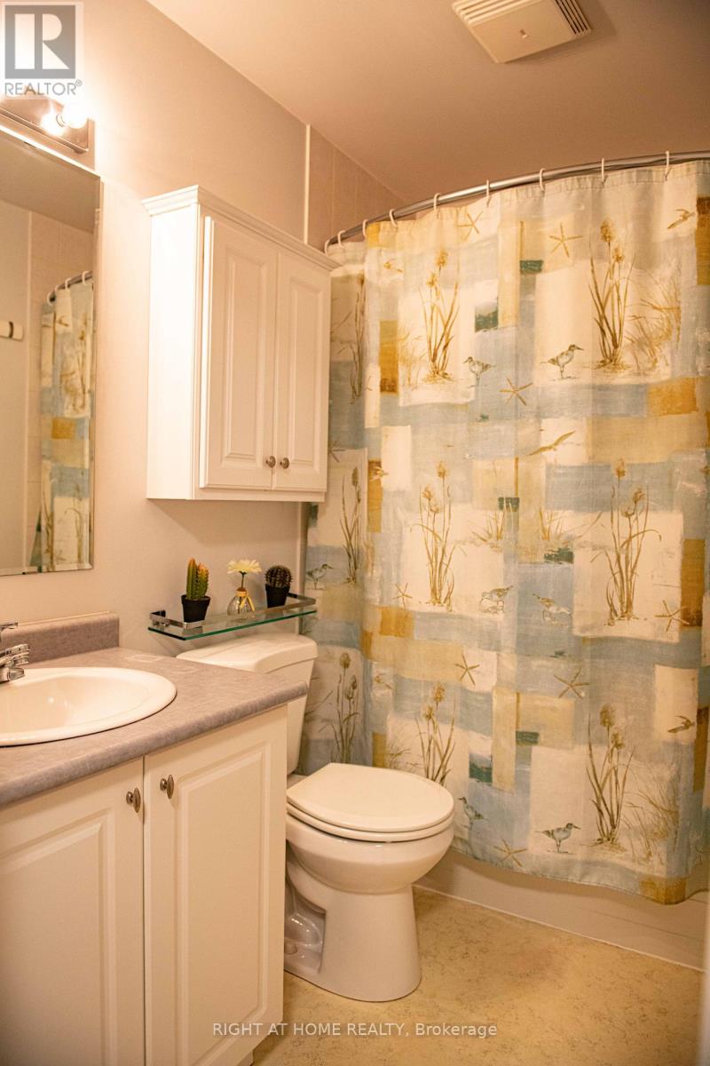 1159 Mcdowell Crescent, Milton, Ontario  L9T 6R6 - Photo 32 - W12593672