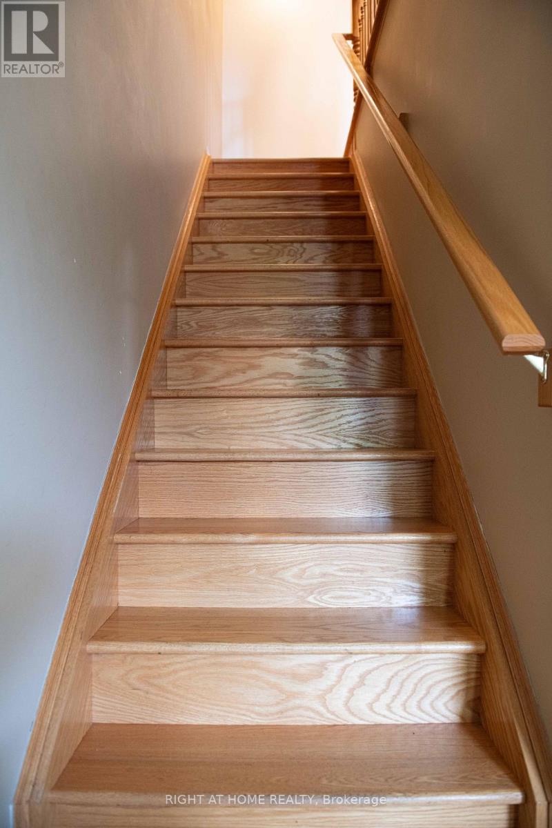 1159 Mcdowell Crescent, Milton, Ontario  L9T 6R6 - Photo 6 - W12593672