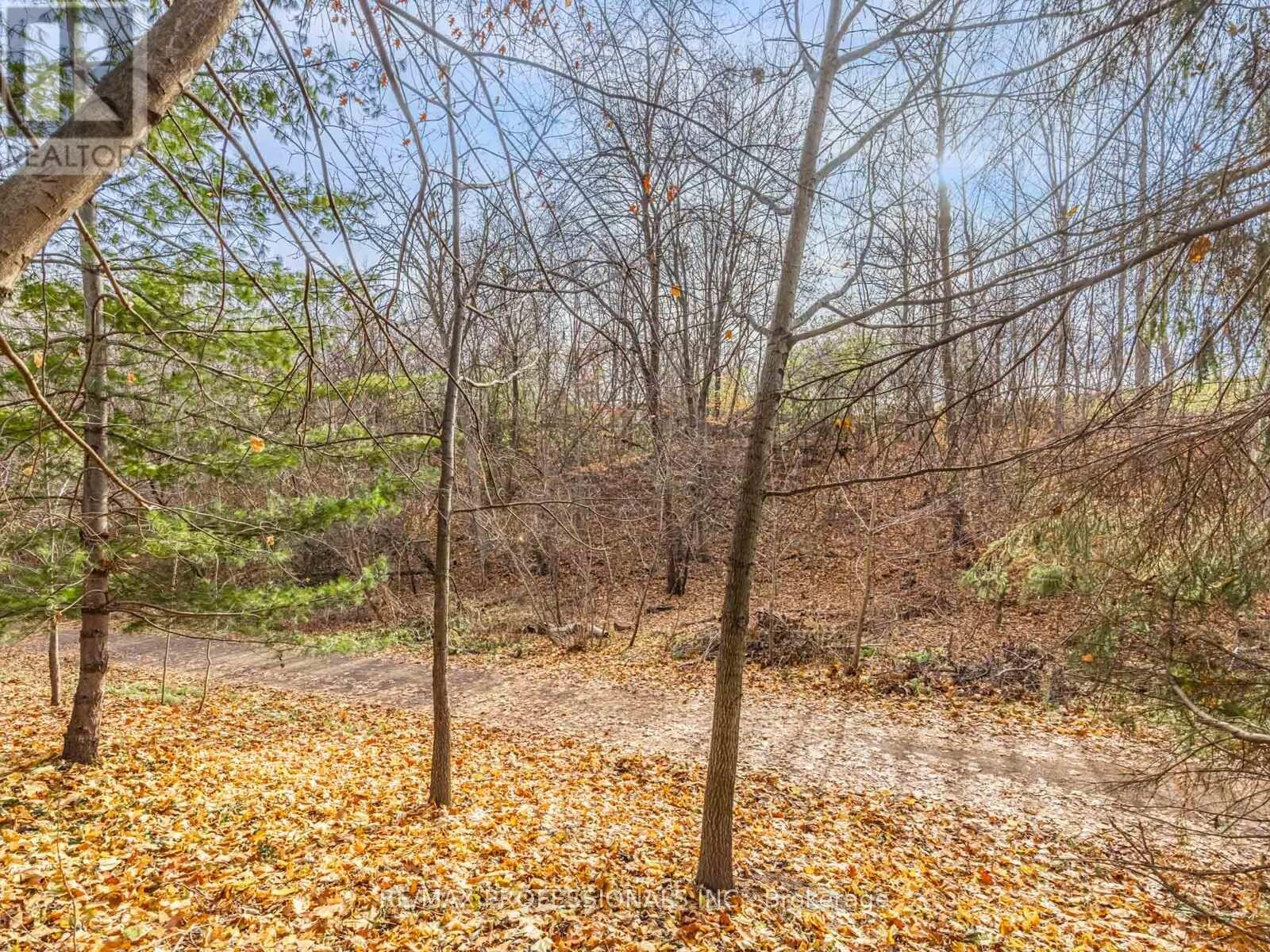 19 Pylon Place, Toronto (Elms-Old Rexdale), Ontario  M9W 2P3 - Photo 28 - W12593984