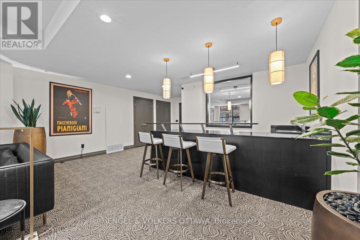 207 - 235 Kent Street, Ottawa, Ontario  K2P 1Z9 - Photo 23 - X12594146
