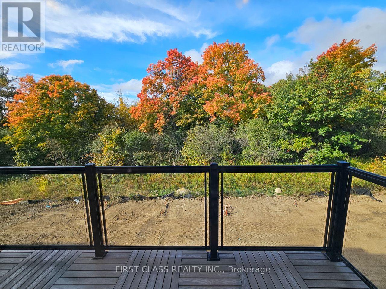 118 Credit Lane, Richmond Hill, Ontario  L4E 1G9 - Photo 19 - N12593914