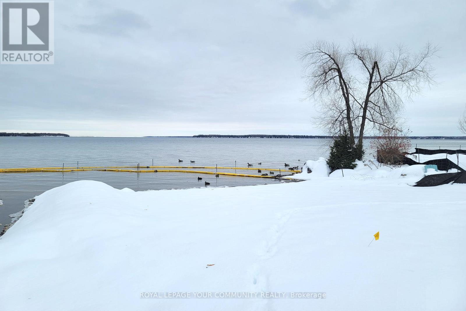 709 Roberts Road, Innisfil, Ontario L9S 2E4 - Photo 2 - N12580520