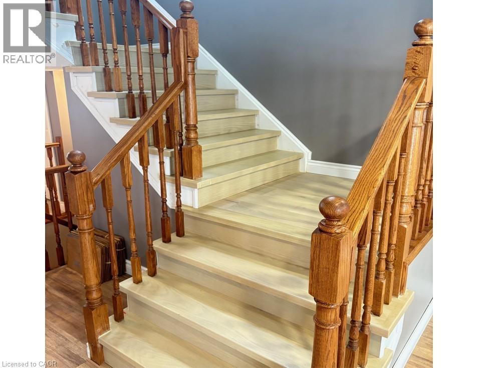 51 Sophia Crescent, Kitchener, Ontario  N2R 1X5 - Photo 15 - 40791575