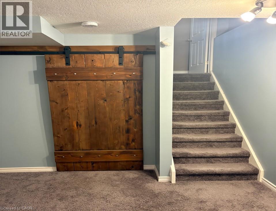 51 Sophia Crescent, Kitchener, Ontario  N2R 1X5 - Photo 31 - 40791575