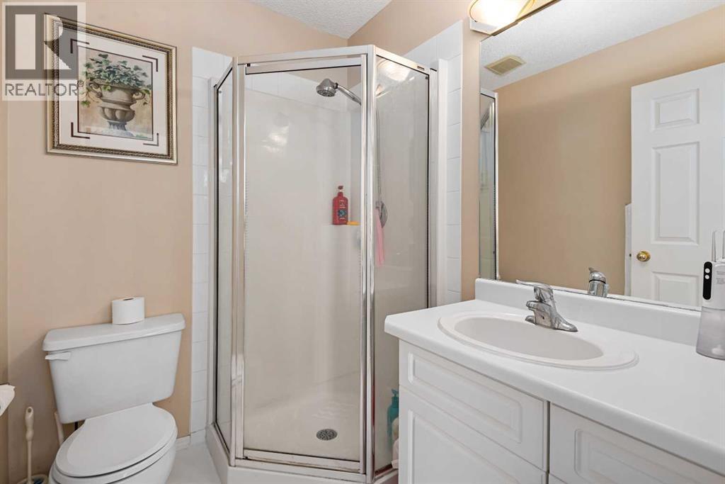 18 Big Springs Hill Se, Airdrie, Alberta  T4A 1M9 - Photo 17 - A2253592