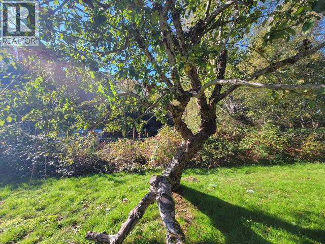 5875 Fraser Street, Powell River, British Columbia  V8A 4T6 - Photo 34 - 19528