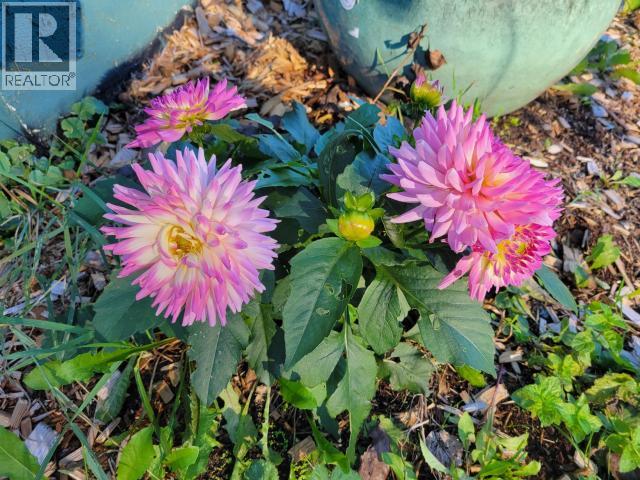 5875 Fraser Street, Powell River, British Columbia  V8A 4T6 - Photo 33 - 19528