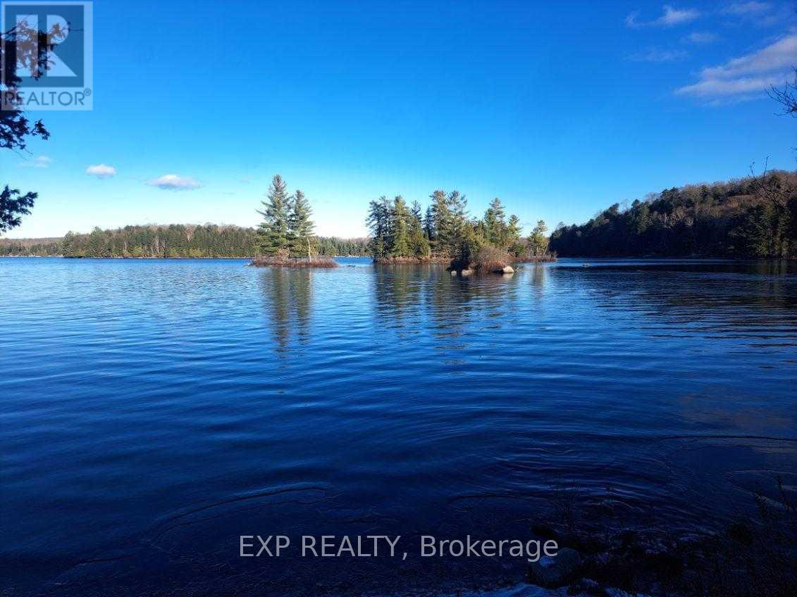 109 Three Mile Lake Road, Armour, Ontario P0A 1J0 - Photo 5 - X12593864