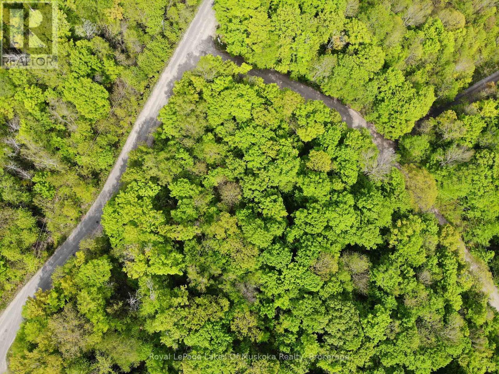 4 Northshore Road, Muskoka Lakes, Ontario  P0B 1M0 - Photo 5 - X12594350