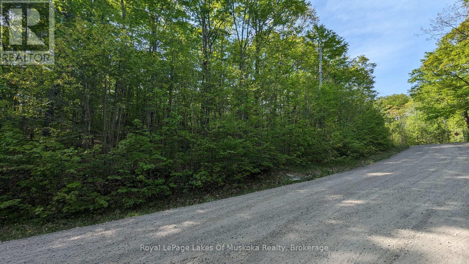 4 Northshore Road, Muskoka Lakes, Ontario  P0B 1M0 - Photo 6 - X12594350